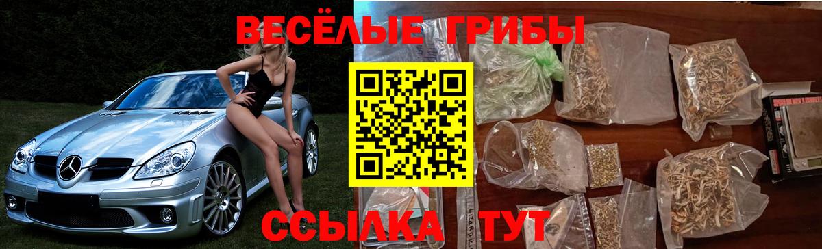 Псилоцибиновые грибы мухоморы  Вход с VPN  Ипатово 